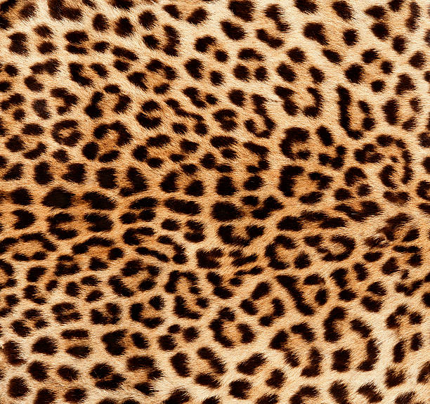 Faux fur women jacket