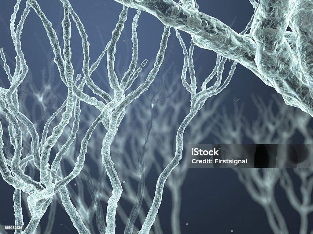 Neurone - Foto de stock de Anatomia royalty-free