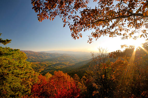 look rock bas donnent sur de foothills parkway west en automne - great smoky mountains great smoky mountains national park mountain smoke photos et images de collection