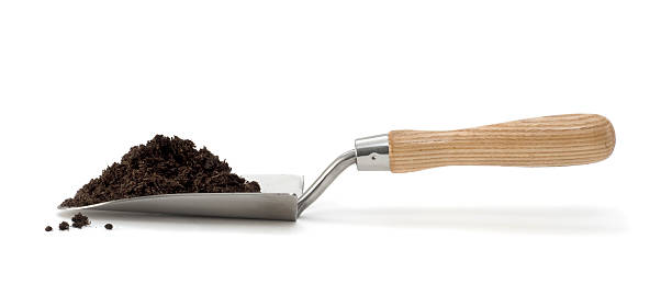 istock Isolated trowel with pile of compost 185083438