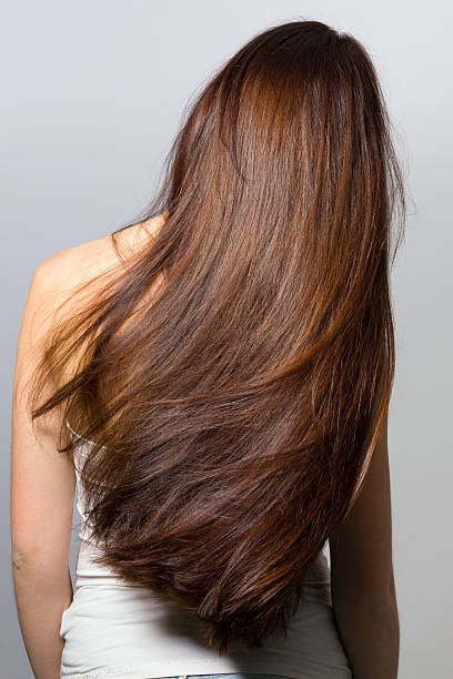 Long hair from behind Long hair from behind Isolated On gray background   hair stock pictures, royalty-free photos & images
