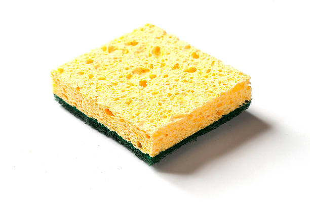 Sponge stock photo