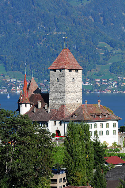 istock Swiss Spiez Castle - XLarge 185084264