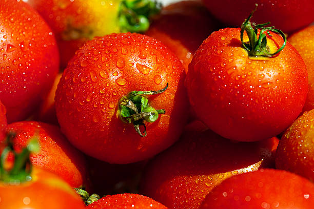 Tomates - Photo