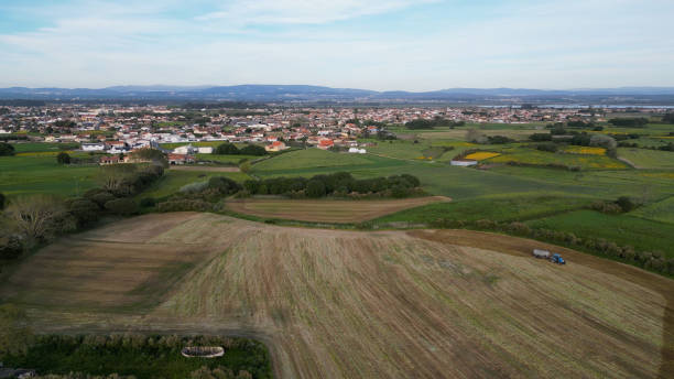 istock Aerial view of cultivated fields 1850848729