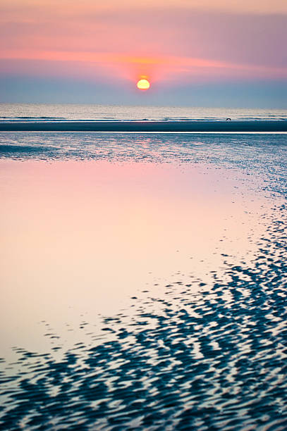 istock Beach At Sunset, Netherlands, Frisian Islands 185085090