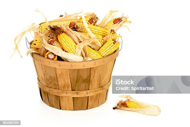 Secado Maíz En Una Cesta Bushel Foto de stock y más banco de imágenes de Maíz - Alimento - Maíz - Alimento, Maíz - Zea, Cesta