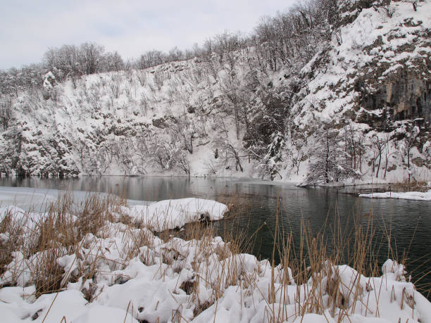 parque nacional de plitvice - plitvice lakes national park croatia winter sparse - fotografias e filmes do acervo