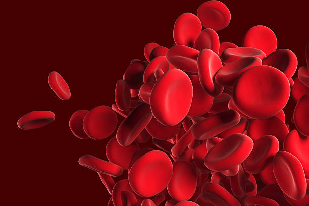 red blood cells Red blood cells flowing through an artery blood cell photos stock pictures, royalty-free photos & images
