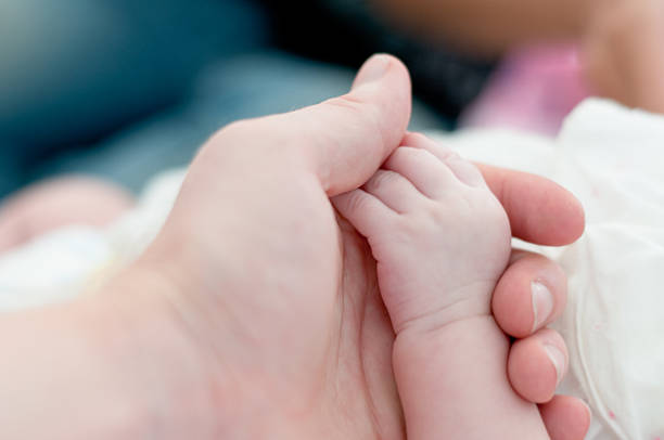 istock Babies Hand Held By An Adult 185086288