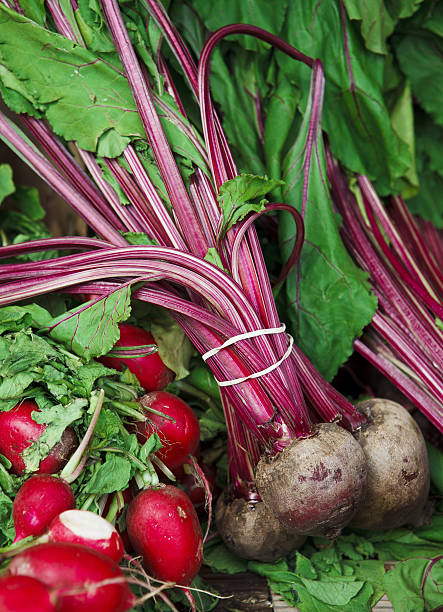 beets and fresh radish
