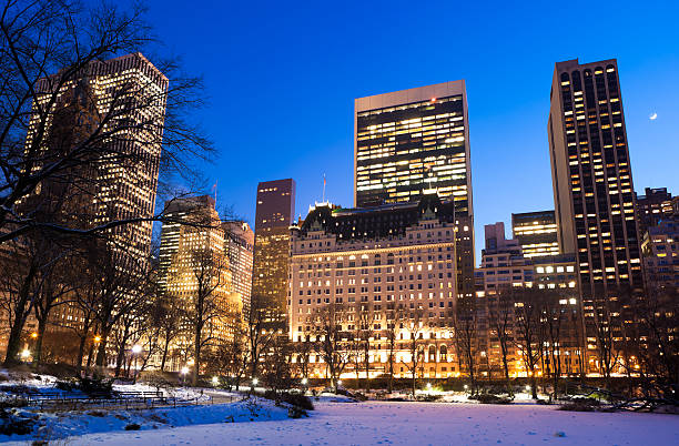 istock Winter in Central Park, New York City 185086327