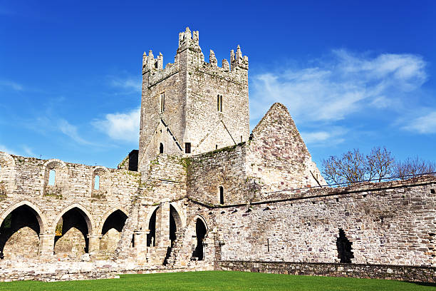 istock Norman Abbey in Ireland 185087009