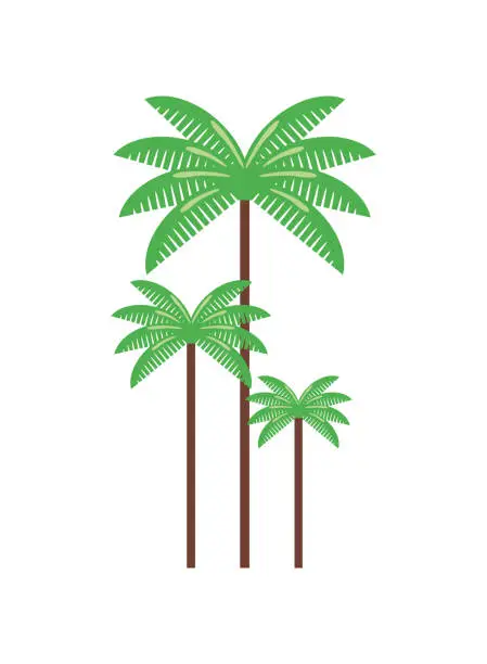 Vector illustration of Colombia Wax Palm del Quindio