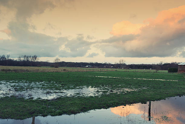 istock Flooded pasture at dusk 185087883