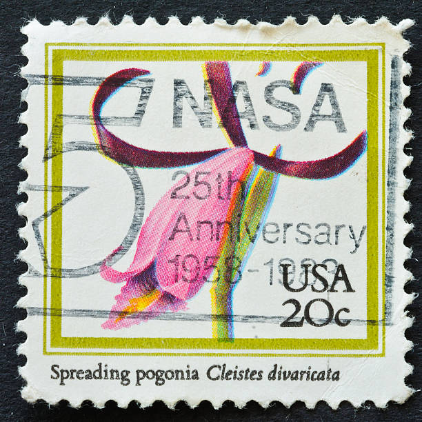 istock Spreading Pogonia Orchid stamp 185088646