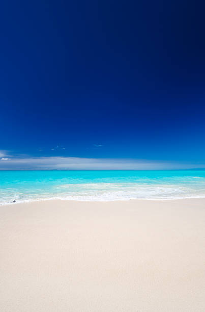 blanc pur et bleu ciel sur la plage des caraïbes - clear sky vacations vertical saturated color photos et images de collection