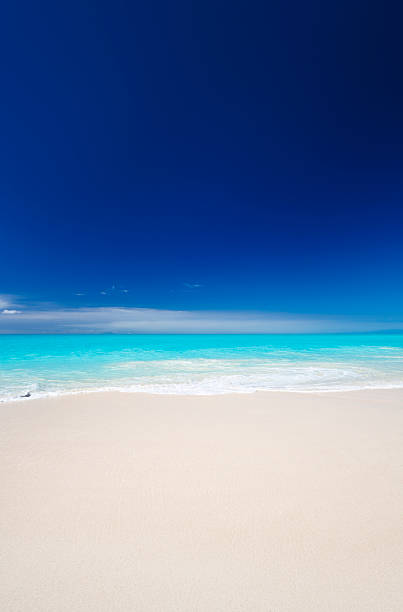Clean White Caribbean Beach With Blue Sky