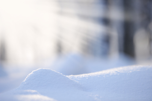 Newly fallen snow. Selective focus and shallow depth of field.