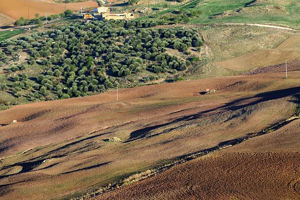 istock Sicilian cultivated land 185089138