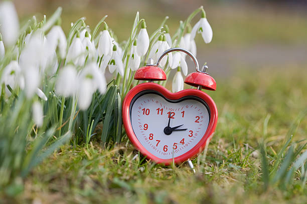 Heartfelt spring A red alarm clock is on the lawn between snowdrop hour hand stock pictures, royalty-free photos & images