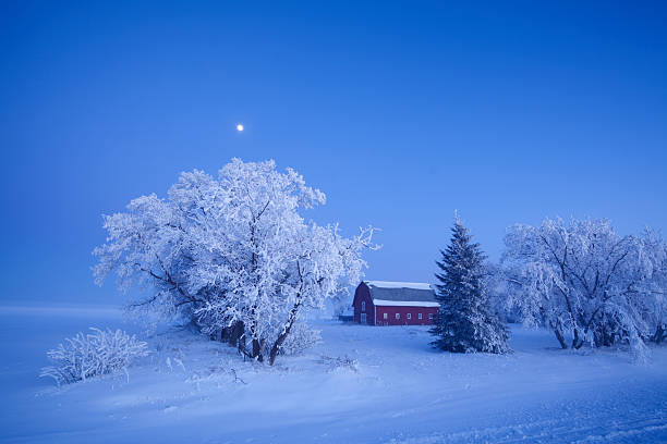 3 xl moon light manitoba - winter landscape canada branch stock-fotos und bilder