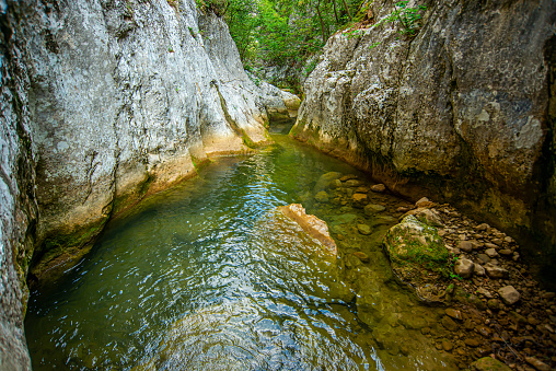 Canyon of wild river Belica in Eastern Serbia