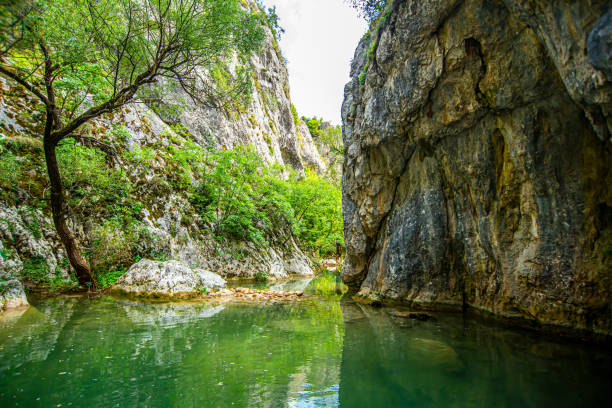istock Canyon of wild river Belica 1850896922
