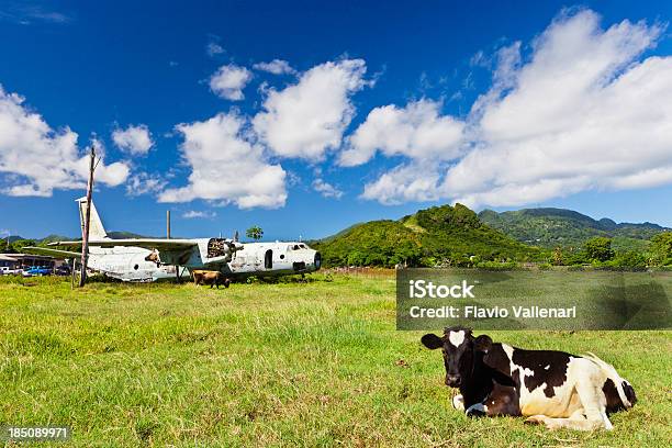 Perlen Flughafen Grenada Wi Stockfoto und mehr Bilder von Alt - Alt, Altmetall, Feld