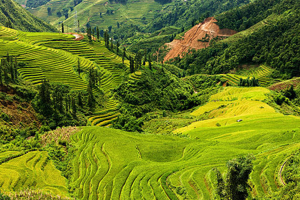 sapa cidade, perto de campos de arroz do vietnã em north - bac ha - fotografias e filmes do acervo