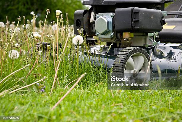 Mähen Auf Dem Rasen Stockfoto und mehr Bilder von Aktivitäten und Sport - Aktivitäten und Sport, Arbeiten, Ausrüstung und Geräte