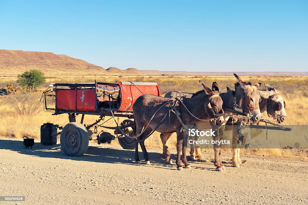 Cart pulled by three donkeys standing along  dirt road, Namibia. Cart pulled by three donkeys standing along the dirt road in Namibia. Mule Stock Photo