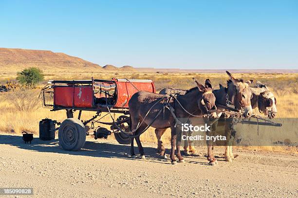 Cart Pulled By Three Donkeys Standing Along Dirt Road Namibia Stock Photo - Download Image Now