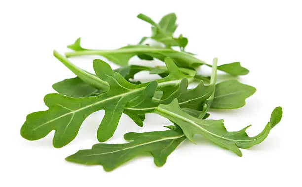 Wild organic arugula on white background