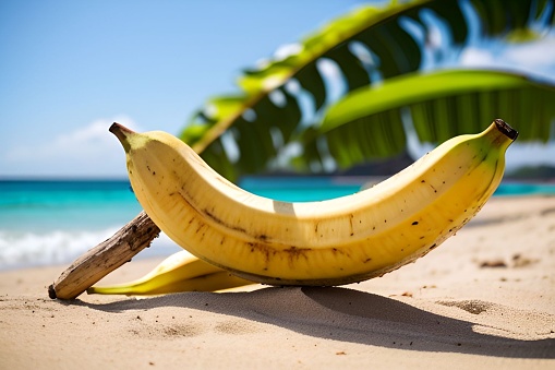 Photograph of a banana in the middle of the beach