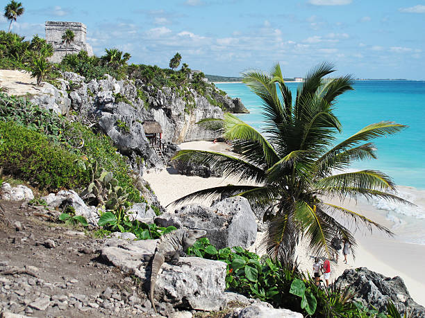 istock Iguana Mexico Tulum Ancient Temple Ruin 185091373