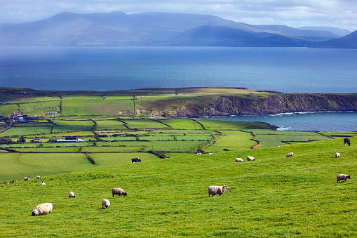 Beautiful landscape on Dingle Peninsula, county Kerry in Ireland