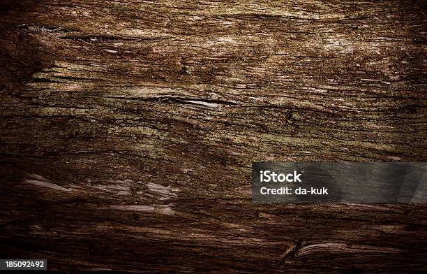 Albero Di Texture - Fotografie stock e altre immagini di Bosco - Bosco, Corteccia, Legno