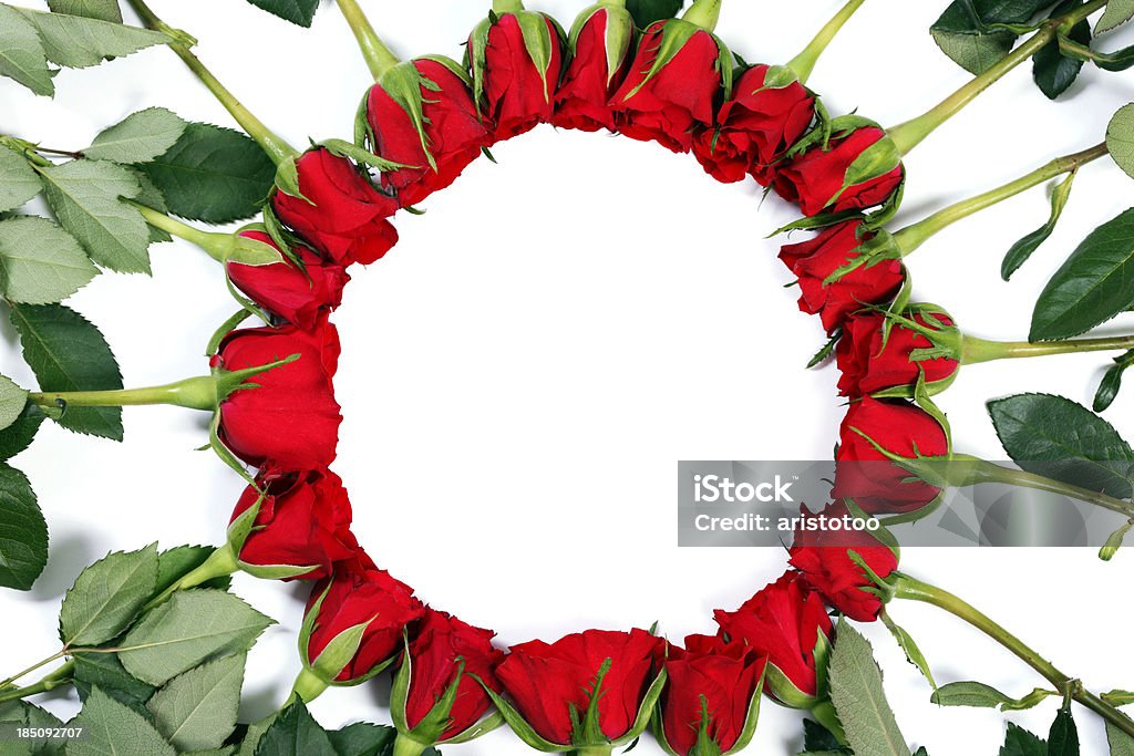 Anel de rosas em fundo branco - Royalty-free Bed Of Roses (expressão inglesa) Foto de stock