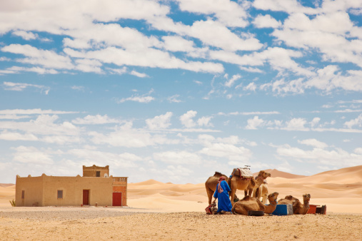 Camels sitting down in front of a yurt in the Mongolian Gobi desert