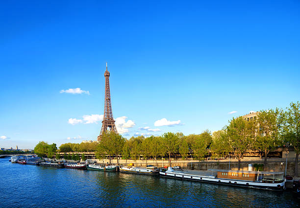 istock Eiffel Tower in Paris, France 185093909