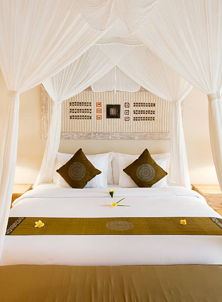 istock Luxury President Suite Bungalow, Bali (XXXL) 185093917