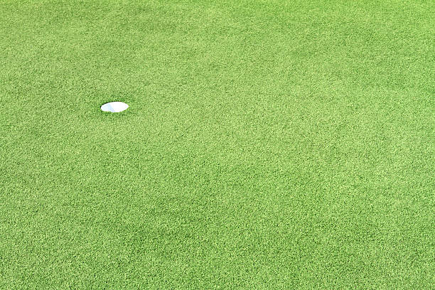 istock Putting Green made of artificial turf 185094067