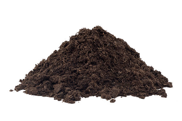 Heap of Compost Small pile of organic compost isolated on white. Peat stock pictures, royalty-free photos & images