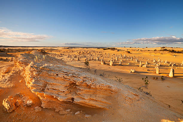 закат над pinnacles пустыня, национальный парк nambung, австралия - australia desert pinnacle stone стоковые фото и изображения