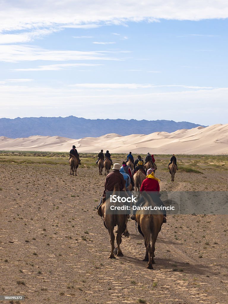 Equitação Camels - Royalty-free Camelo Foto de stock