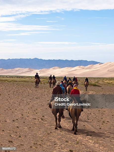 Equitação Camels - Fotografias de stock e mais imagens de Camelo - Camelo, Grupo de Pessoas, Grupo de animais