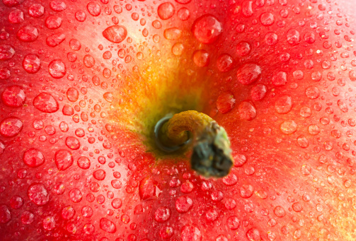 water drops on red apple