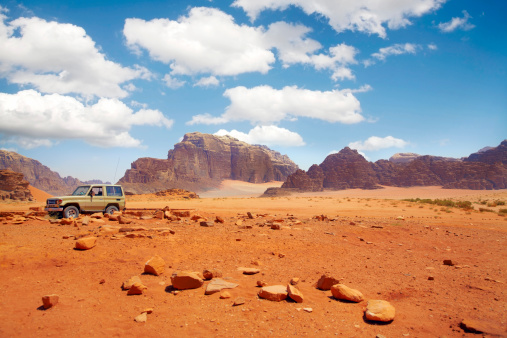 Desert safari with mountains in the background.