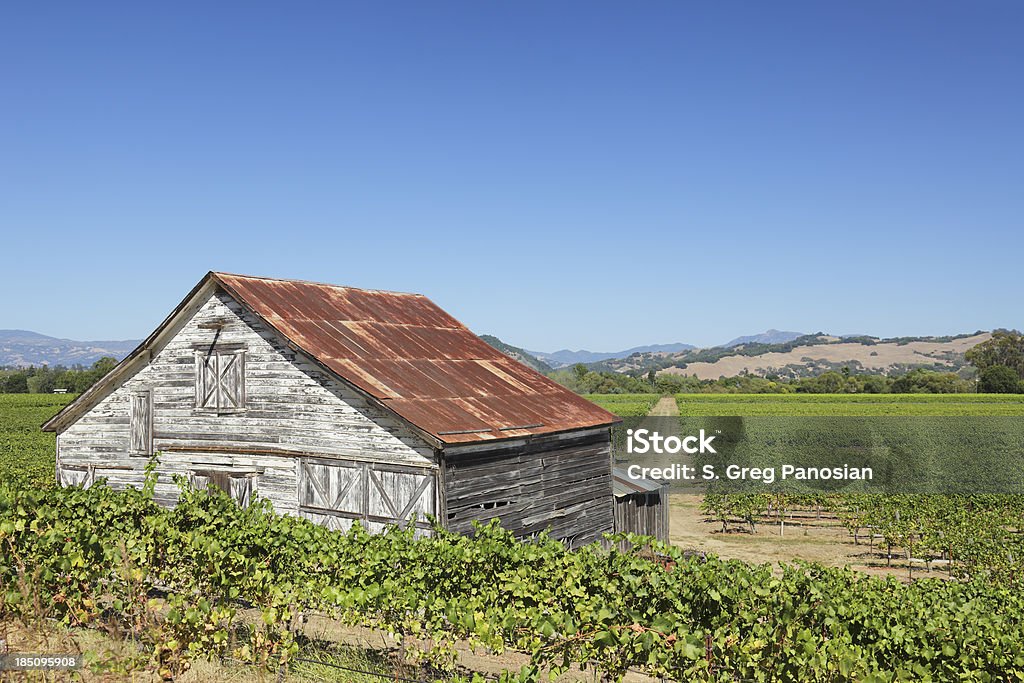 Vineyard Barn - Lizenzfrei Agrarbetrieb Stock-Foto